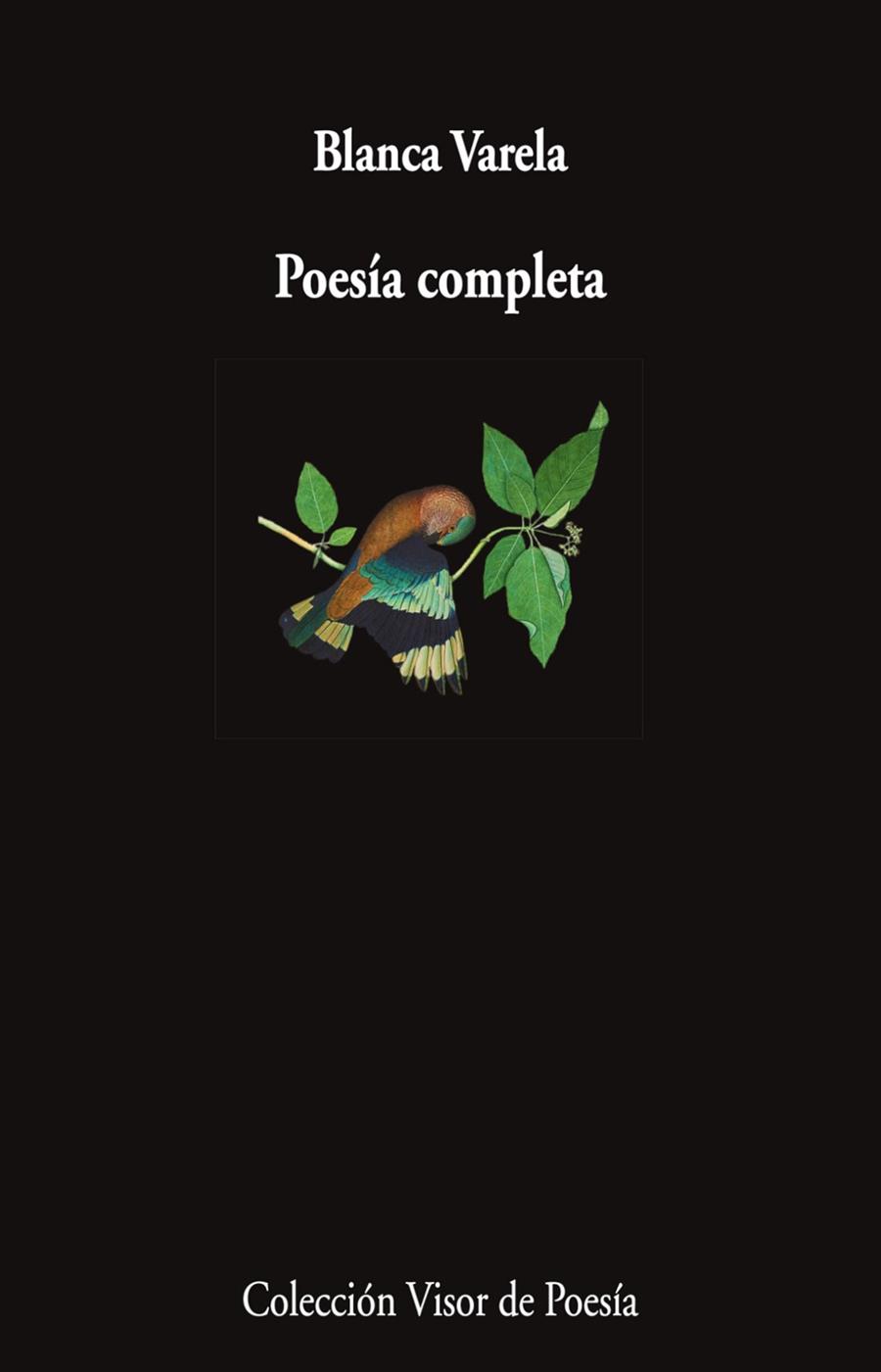 POESÍA COMPLETA | 9788498955163 | VARELA, BLANCA | Llibres Parcir | Llibreria Parcir | Llibreria online de Manresa | Comprar llibres en català i castellà online