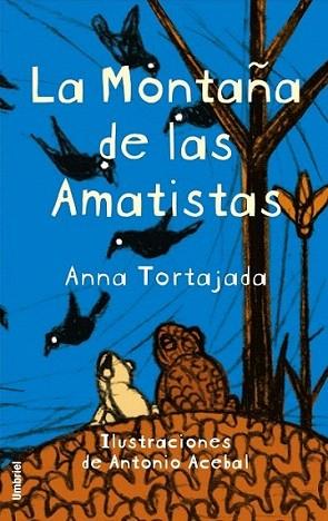 LA MONTAÐA DE LAS AMATISTA | 9788495618801 | TORTAJADA ANNA | Llibres Parcir | Llibreria Parcir | Llibreria online de Manresa | Comprar llibres en català i castellà online