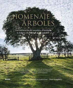 HOMENAJE A LOS ARBOLES | 9788416138562 | KINGSBURY, NOEL/JONES, ANDREA | Llibres Parcir | Llibreria Parcir | Llibreria online de Manresa | Comprar llibres en català i castellà online