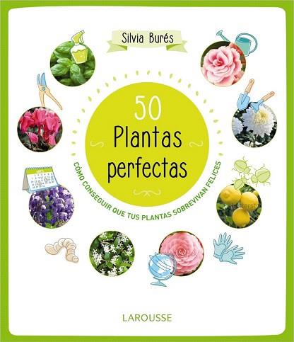 50 PLANTAS PERFECTAS | 9788415785897 | BURÉS, SILVIA | Llibres Parcir | Llibreria Parcir | Llibreria online de Manresa | Comprar llibres en català i castellà online