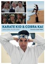 KARATE KID & COBRA KAI DAR CERA PULIR CERA | 9788418320583 | MILLAN,FRANCISCO JAVIER | Llibres Parcir | Llibreria Parcir | Llibreria online de Manresa | Comprar llibres en català i castellà online