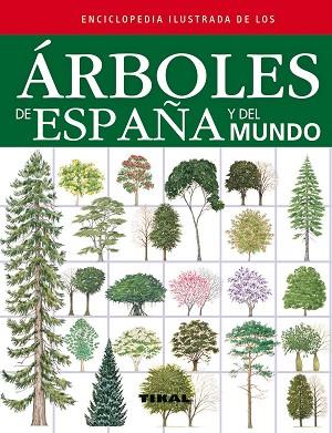 ÁRBOLES DE ESPAÑA Y DEL MUNDO | 9788499281841 | RUSSELL/TONY/CUTLER/CATHERINE/WALTERS/MARTIN | Llibres Parcir | Llibreria Parcir | Llibreria online de Manresa | Comprar llibres en català i castellà online