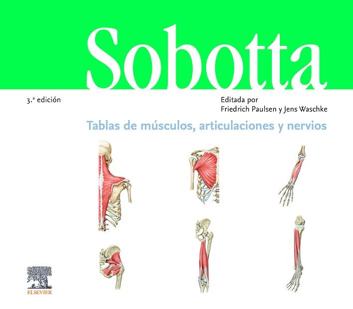 SOBOTTA. TABLAS DE MÚSCULOS, ARTICULACIONES Y NERVIOS (3ª ED.) | 9788491135425 | PAULSEN, F. | Llibres Parcir | Llibreria Parcir | Llibreria online de Manresa | Comprar llibres en català i castellà online