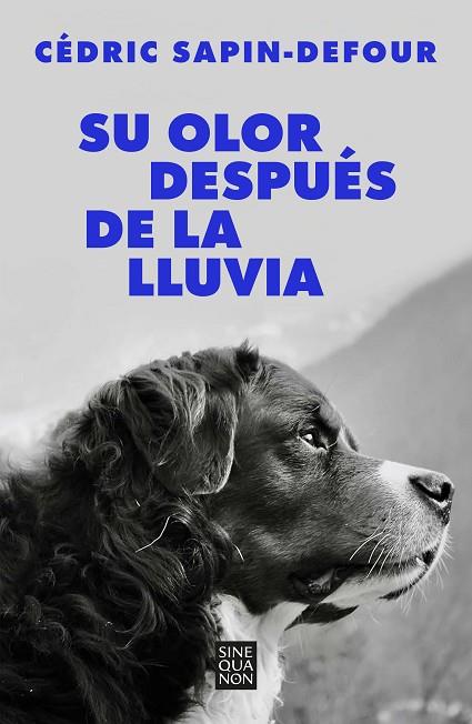 SU OLOR DESPUÉS DE LA LLUVIA | 9788466678766 | SAPIN-DEFOUR, CÉDRIC | Llibres Parcir | Llibreria Parcir | Llibreria online de Manresa | Comprar llibres en català i castellà online