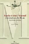 CONTRABAN DE LLUM | 9788482566726 | MARIA MERCE MARÃAL | Llibres Parcir | Llibreria Parcir | Llibreria online de Manresa | Comprar llibres en català i castellà online