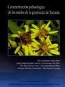 CARACTERIZACIÓN PALINOLÓGICA DE LAS MIELES DE LA PENÍNSULA DE YUCATÁN | PODI124336 | ORTIZ  JUAN/ALFARO  RITA/VIERA  FLOR/BURGOS  ANA/GONZÁLEZ  JORGE/RAMÍREZ  ELIA/MARTÍNEZ  ENRIQUE | Llibres Parcir | Llibreria Parcir | Llibreria online de Manresa | Comprar llibres en català i castellà online