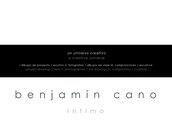 Benjamín Cano | 9788499368733 | Cano Domínguez, Benjamín | Llibres Parcir | Llibreria Parcir | Llibreria online de Manresa | Comprar llibres en català i castellà online