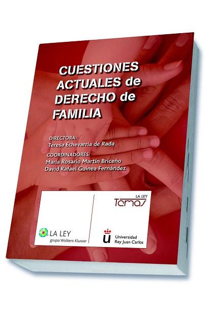 CUESTIONES ACTUALES DE DERECHO DE FAMILIA | 9788490202005 | VARIOS AUTORES | Llibres Parcir | Llibreria Parcir | Llibreria online de Manresa | Comprar llibres en català i castellà online