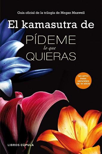 EL KAMASUTRA DE PÍDEME LO QUE QUIERAS | 9788448018290 | AA. VV. | Llibres Parcir | Llibreria Parcir | Llibreria online de Manresa | Comprar llibres en català i castellà online