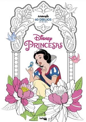 ARTETERAPIA. PRINCESAS DISNEY | 9788416857265 | HACHETTE HEROES | Llibres Parcir | Llibreria Parcir | Llibreria online de Manresa | Comprar llibres en català i castellà online