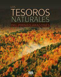 TESOROS NATURALES DEL PIRINEO ARAGONES, LOS | 9788482166131 | VIÑUALES, EDUARDO | Llibres Parcir | Llibreria Parcir | Llibreria online de Manresa | Comprar llibres en català i castellà online