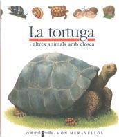 LA TORTUGA | 9788476298206 | Llibres Parcir | Llibreria Parcir | Llibreria online de Manresa | Comprar llibres en català i castellà online