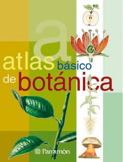 ATLAS BASICO DE BOTANICA | 9788434224643 | Llibres Parcir | Llibreria Parcir | Llibreria online de Manresa | Comprar llibres en català i castellà online